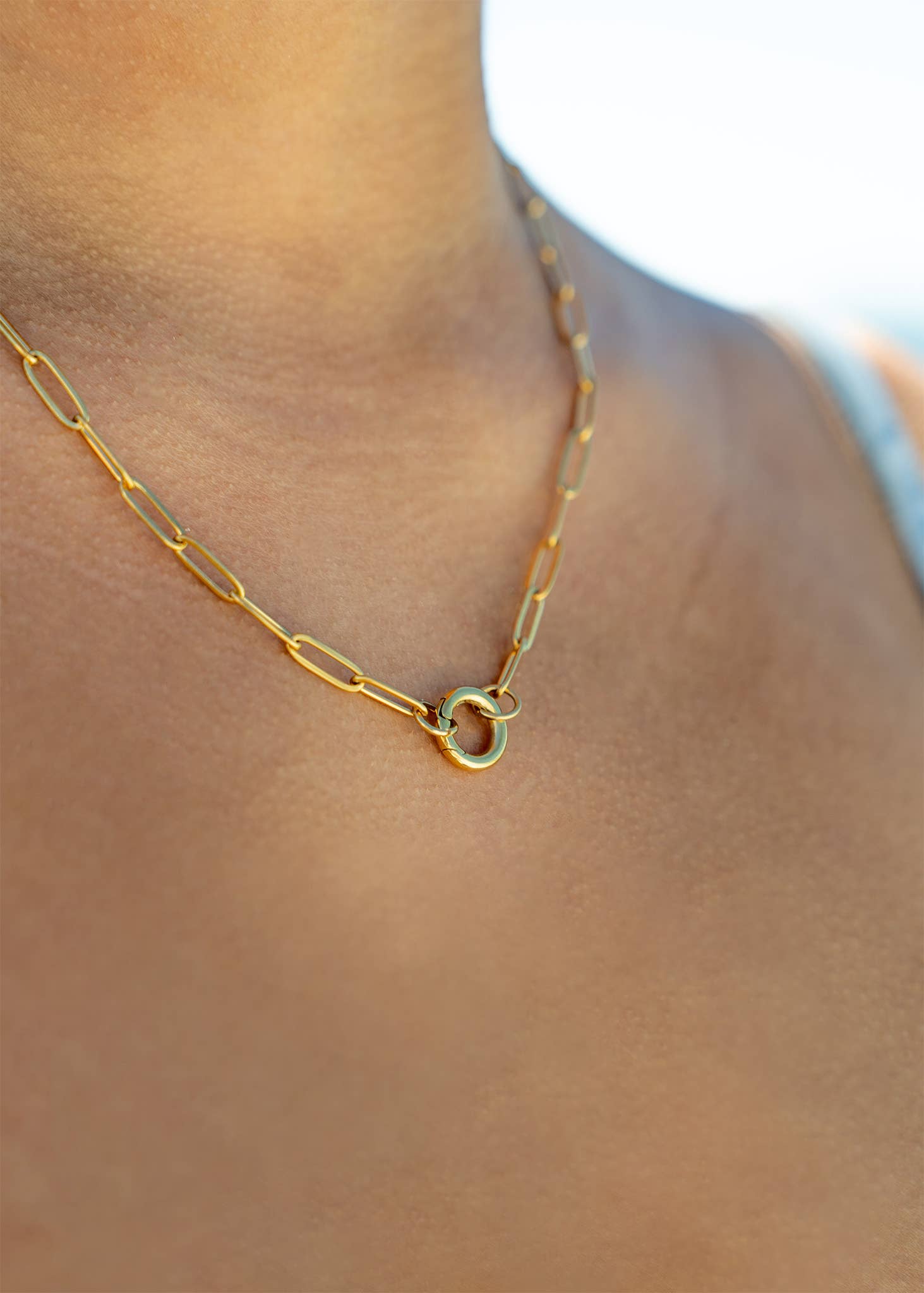 Stainless Steel Paperclip Carabiner Charm Holder Necklace